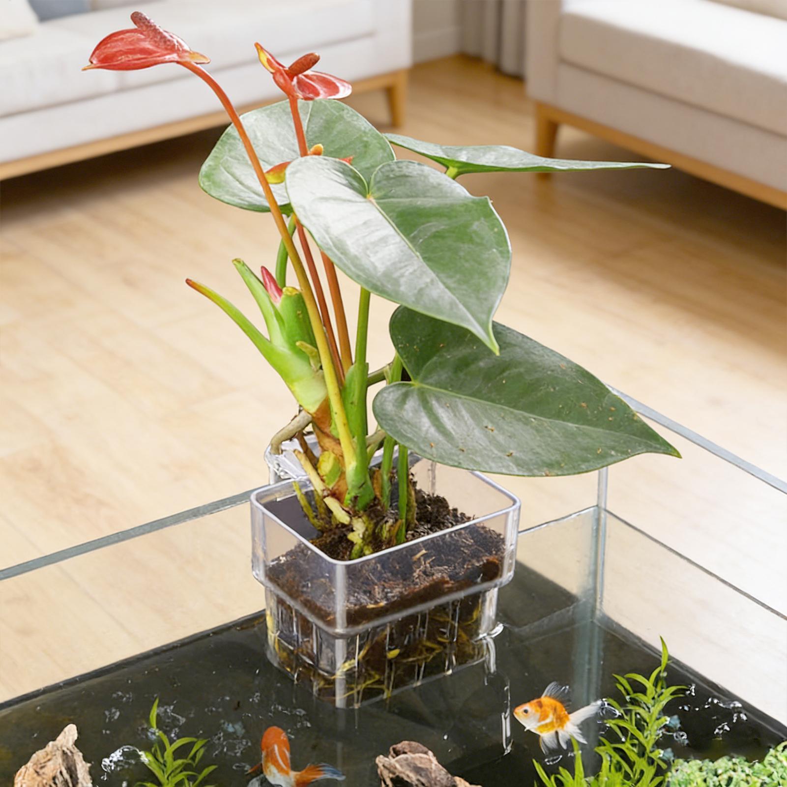 Plant Aquarium Pot - Прозрачная подвесная корзина для аквариумных растений,