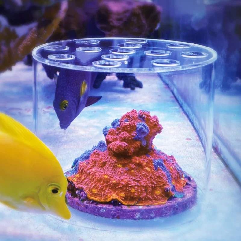 Aquarium Fertilizer - Вафтокеанский аквариум, акриловая кормушка для кораллов,