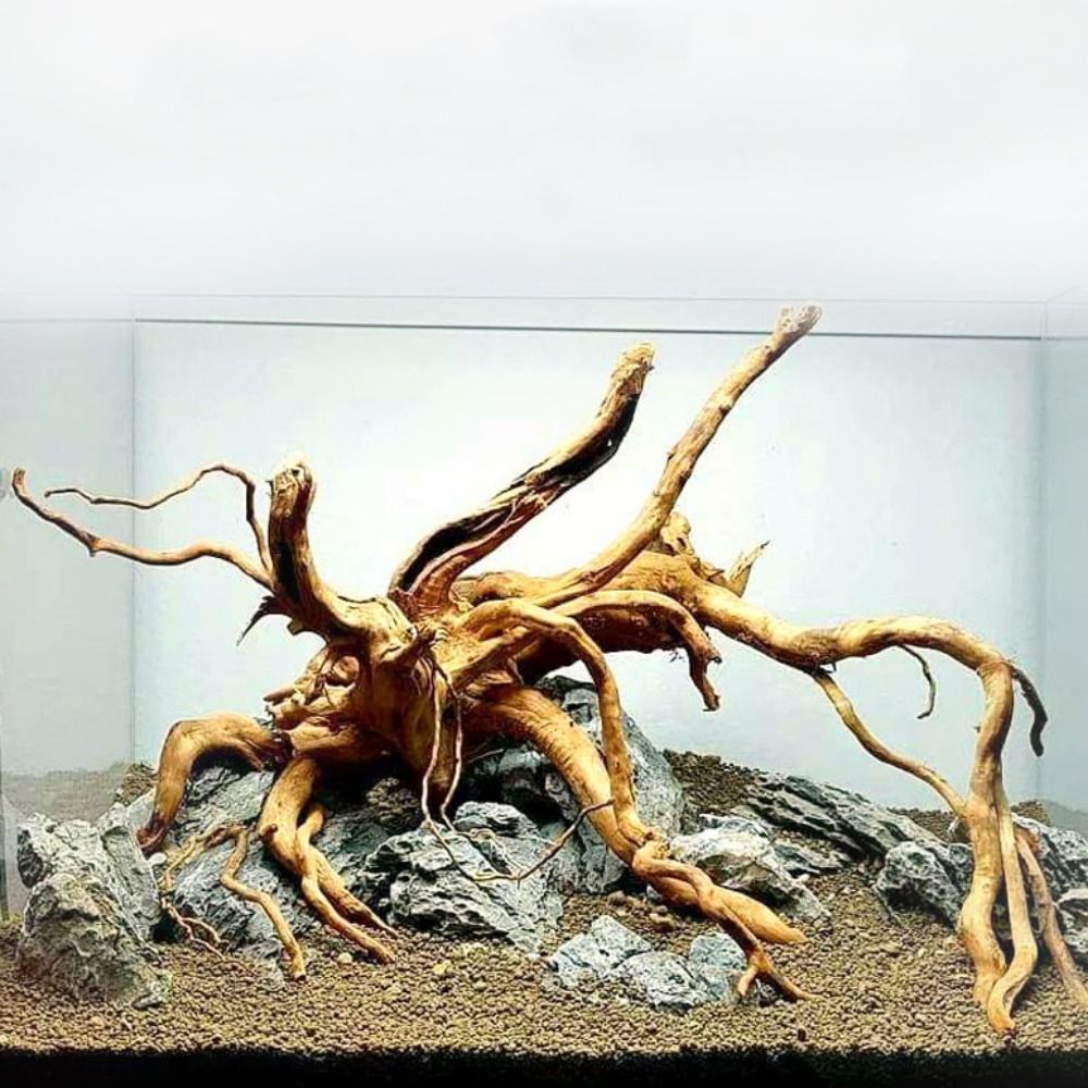 Aquarium Driftwood - Декоративный пней для аквариума 20-25 см,
