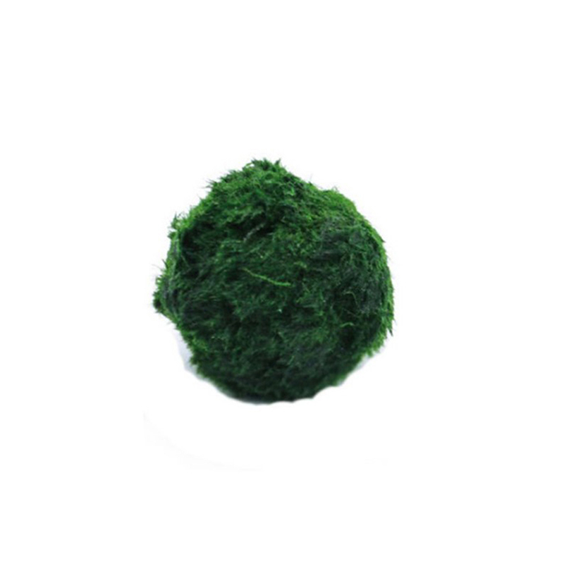 Live Plant Aquarium - Шарики из мха Marimo, живое аквариумное