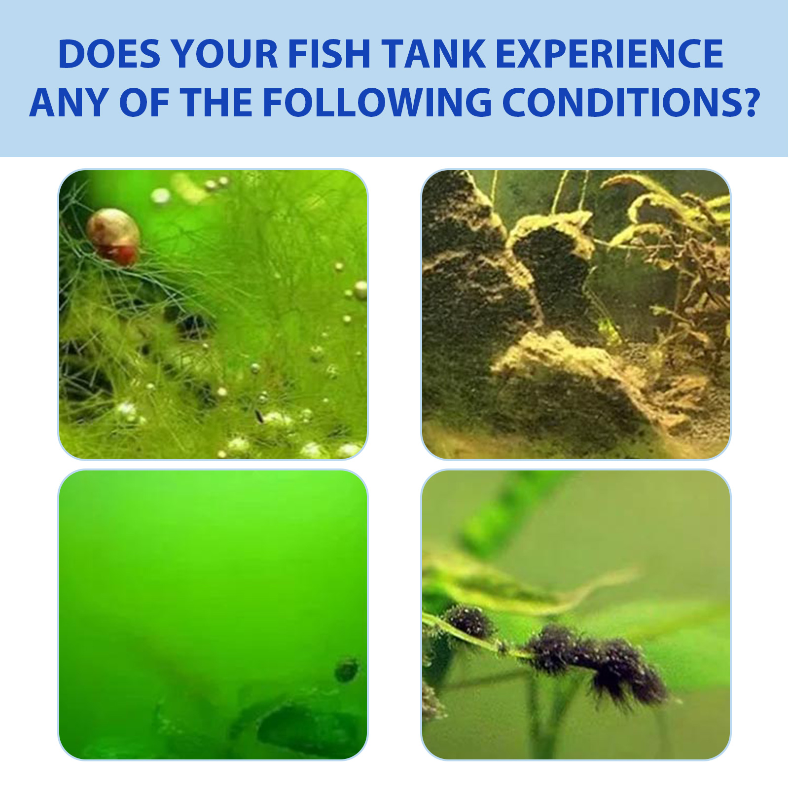 Порошок для контроля водоросле – обзор и цена Planted Aquarium Algae Control