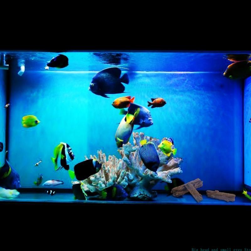 Украшение для аквариума, ствол – обзор и цена Aquarium Plant Substrate