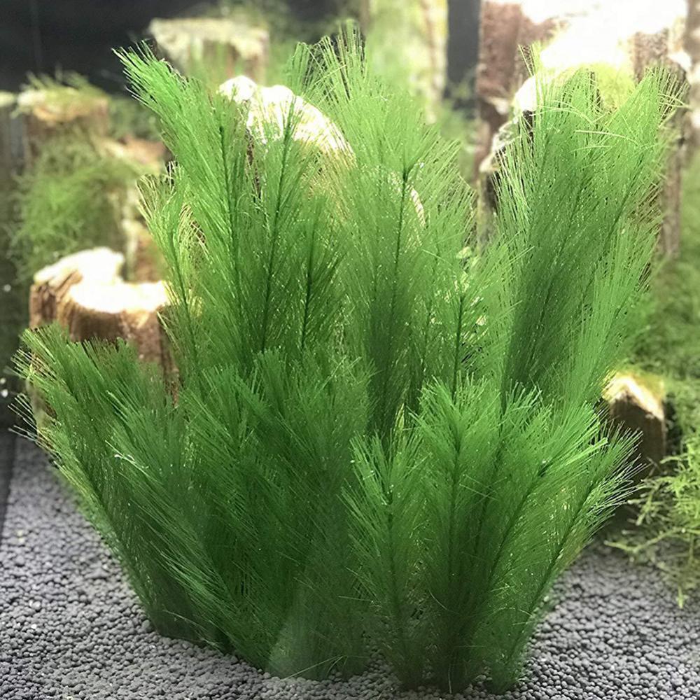 1/3 шт. 28/40 см аквариум иску – обзор и цена Live Plant Aquarium