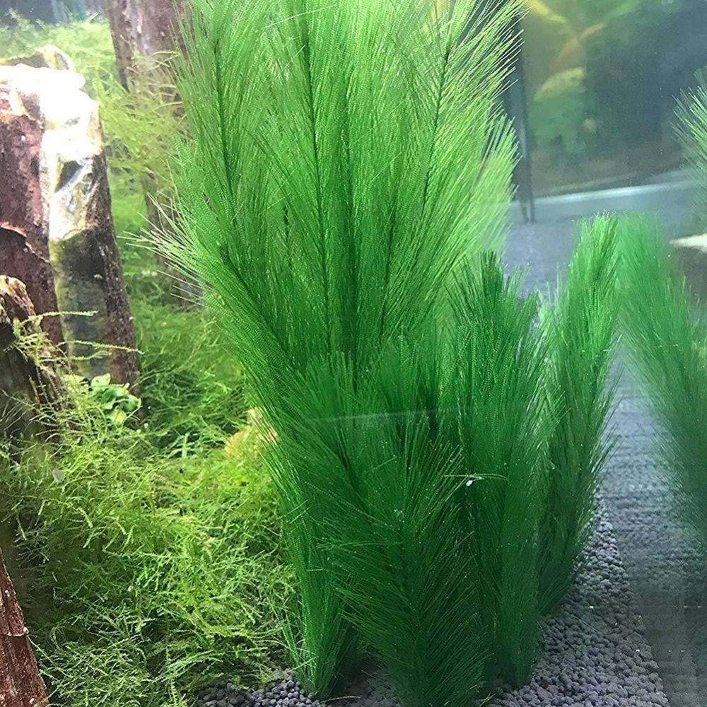1/3 шт. 28/40 см аквариум иску – обзор и цена Live Plant Aquarium