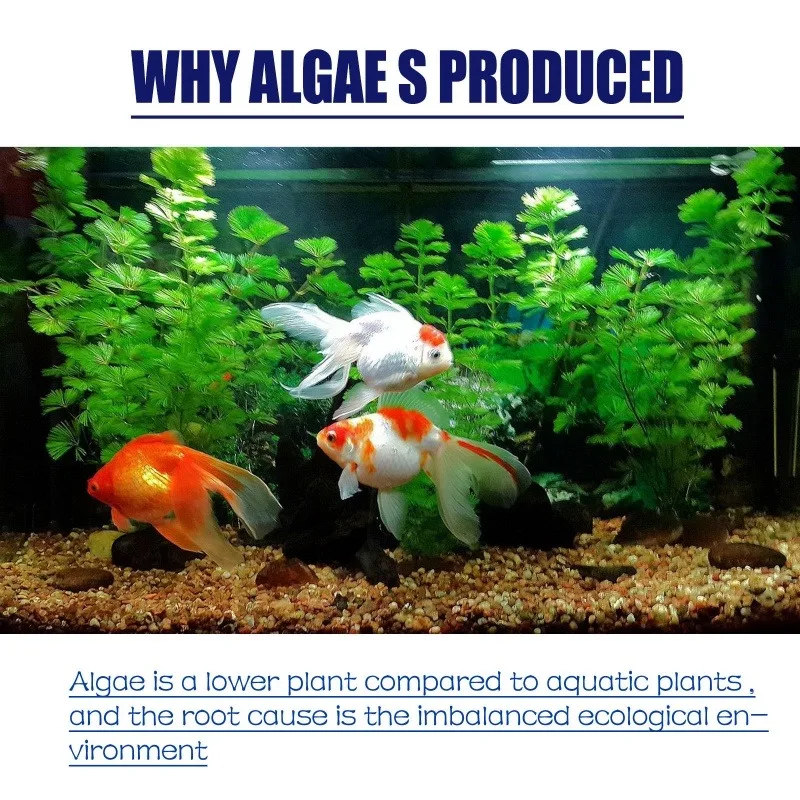 50 г высокоэффективного альгиц – обзор и цена Aquarium Fertilizer