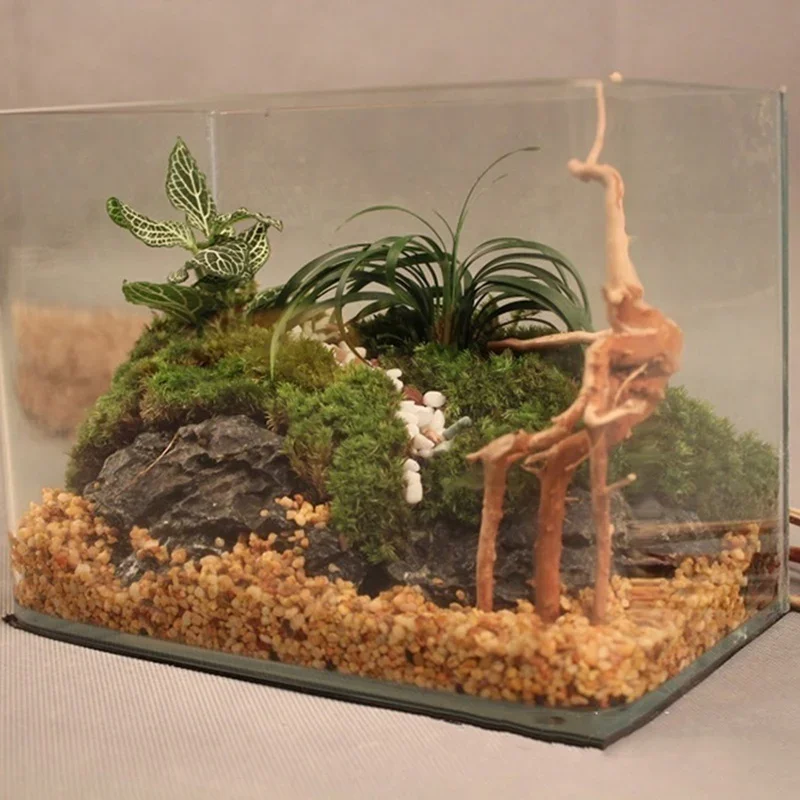 Натуральный ствол дерева Drift – обзор и цена Aquarium Driftwood
