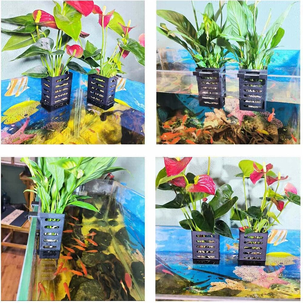 Держатель для аквариумных раст – обзор и цена Aquarium Plant Holder