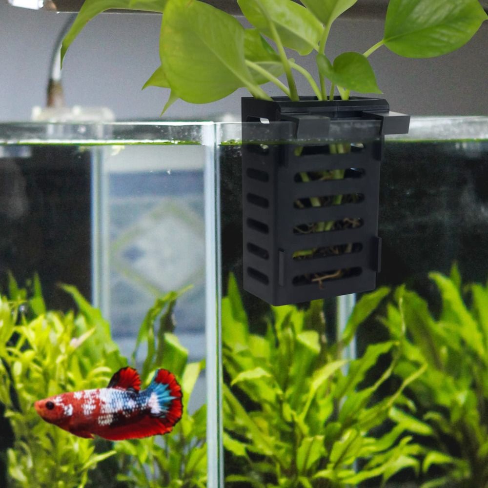 Держатель для аквариумных раст – обзор и цена Aquarium Plant Holder