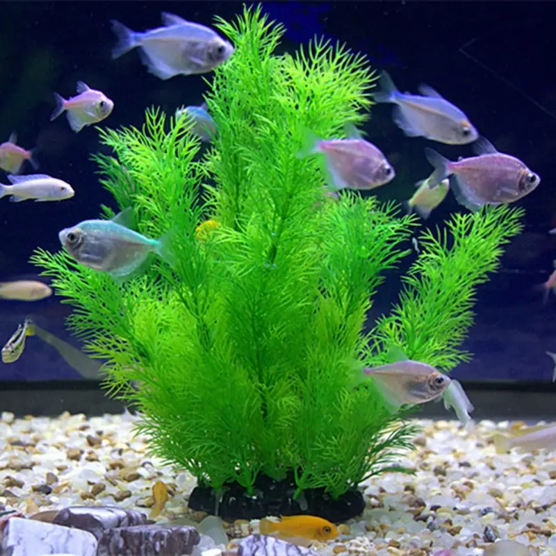 Искусственные растения для дек – обзор и цена Aquarium Plants Live