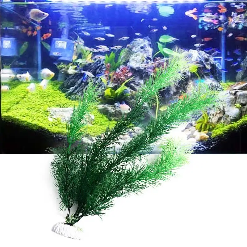 Искусственные растения для дек – обзор и цена Aquarium Plants Live