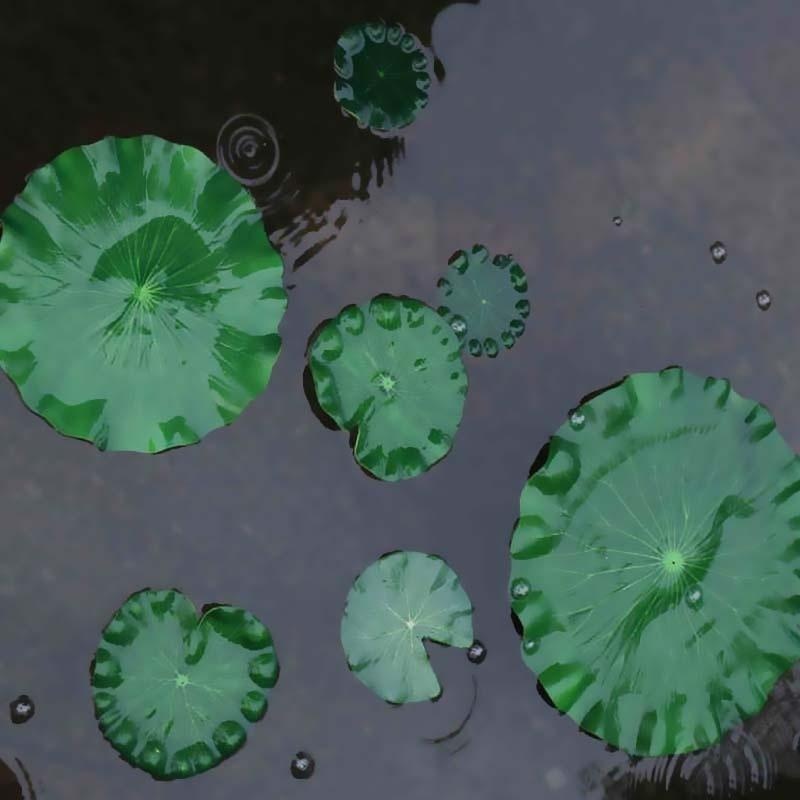 Искусственные листья лотоса 20 – обзор и цена Aquarium Plant Substrate