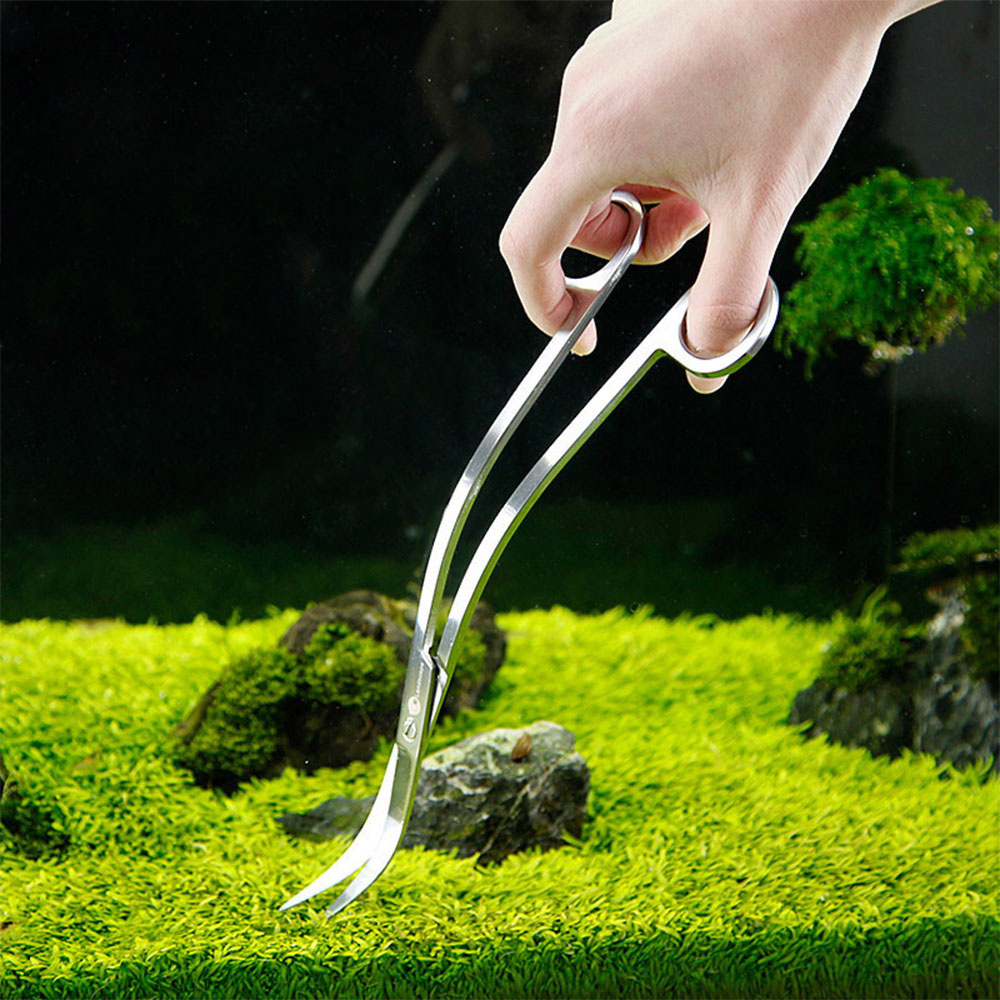 Аксессуары для аквариума, жест – обзор и цена Planted Aquarium Cleaning