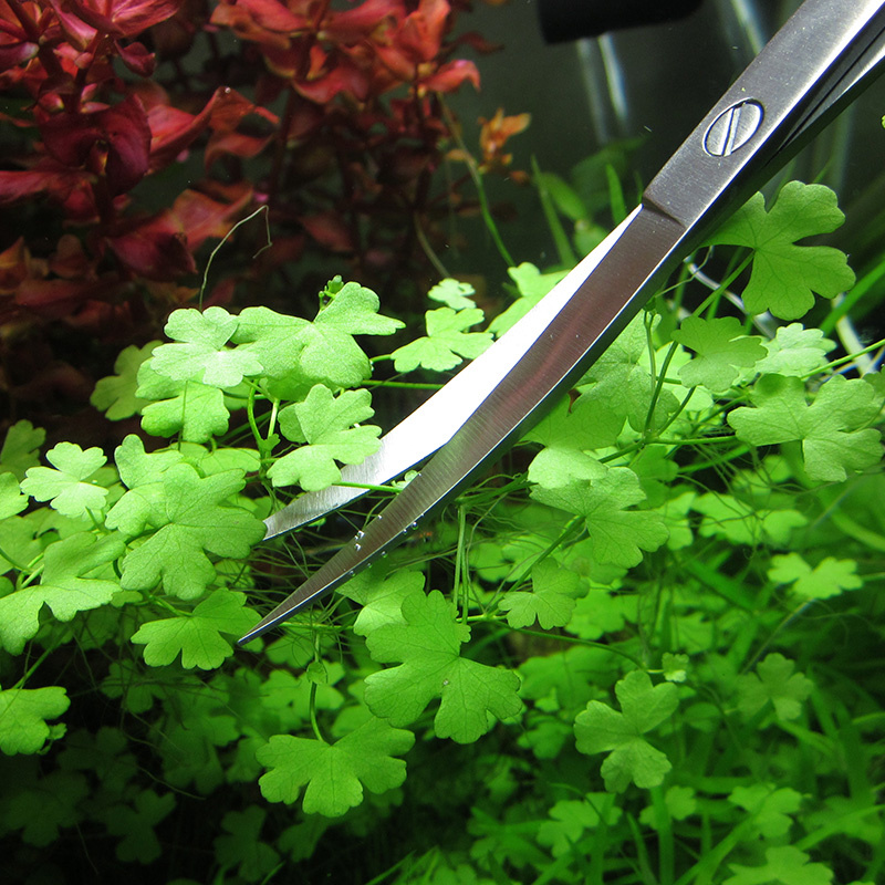 Аксессуары для аквариума, жест – обзор и цена Planted Aquarium Cleaning