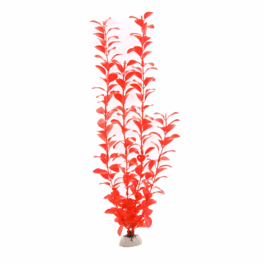Орнамент, аксессуары для аквар – обзор и цена Live Plant Aquarium