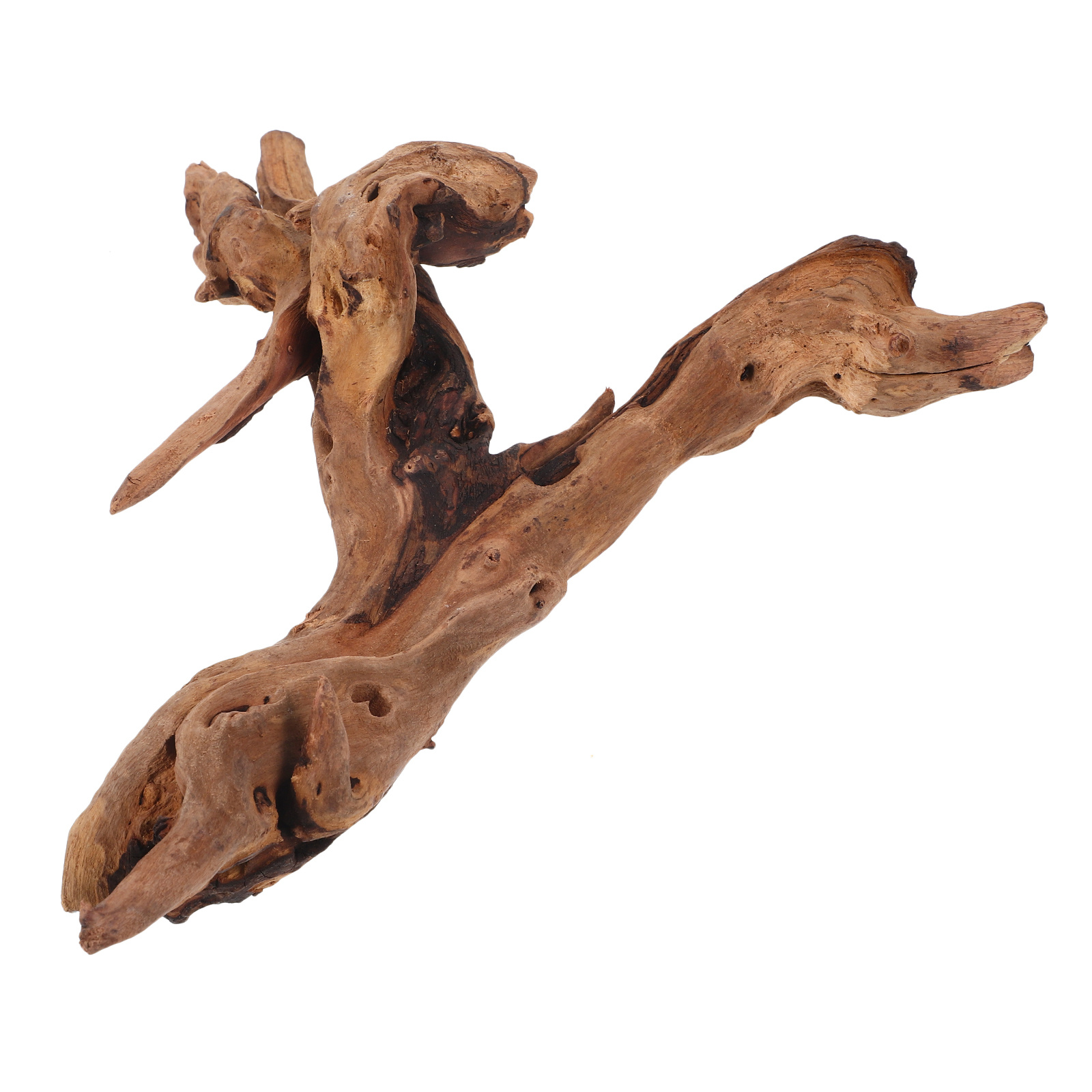 Декор из мертвого дерева для а – обзор и цена Aquarium Driftwood