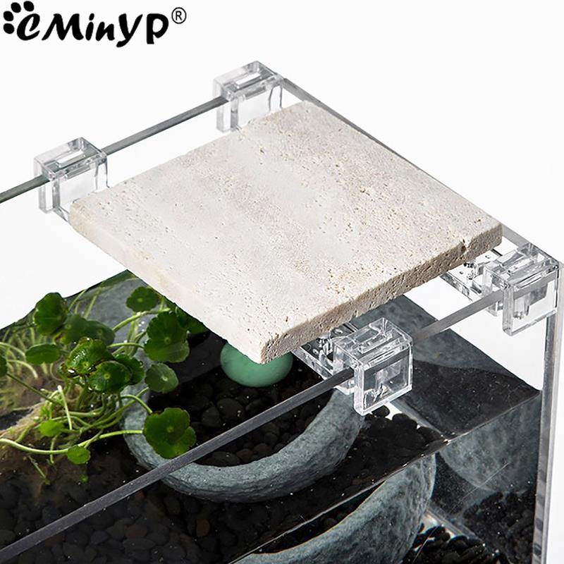 4 шт. акриловые зажимы для акв – обзор и цена Aquarium Plant Holder