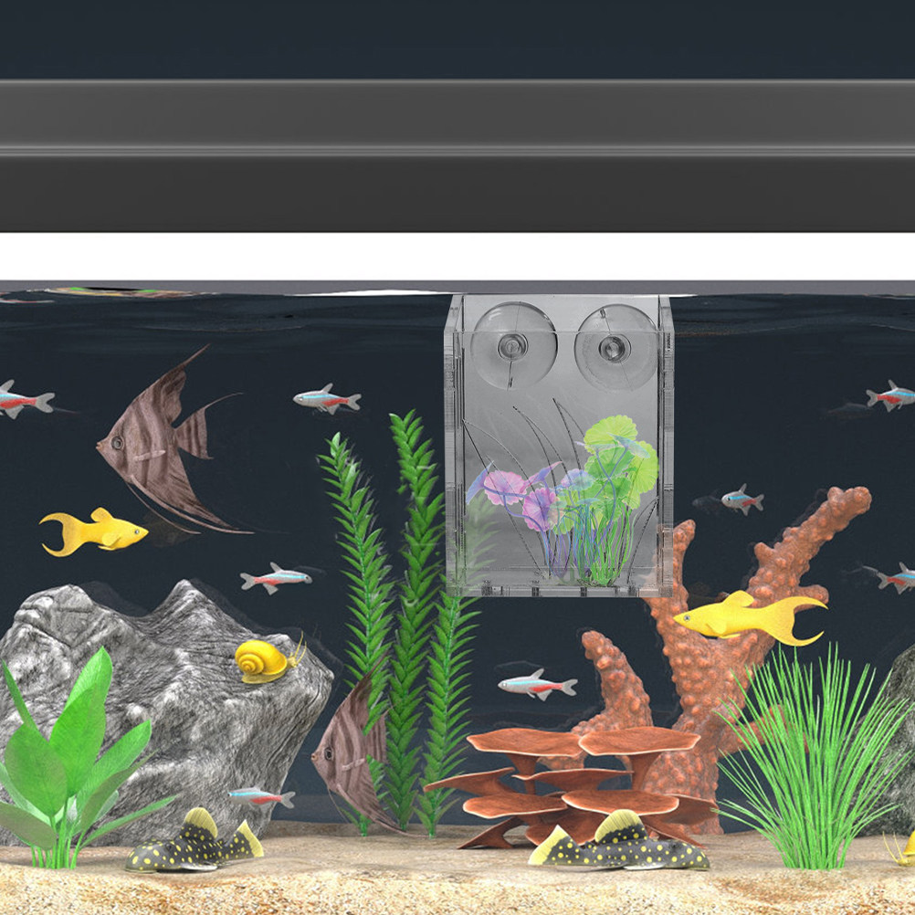 3 шт. прозрачных подвесных дер – обзор и цена Aquarium Plant Holder