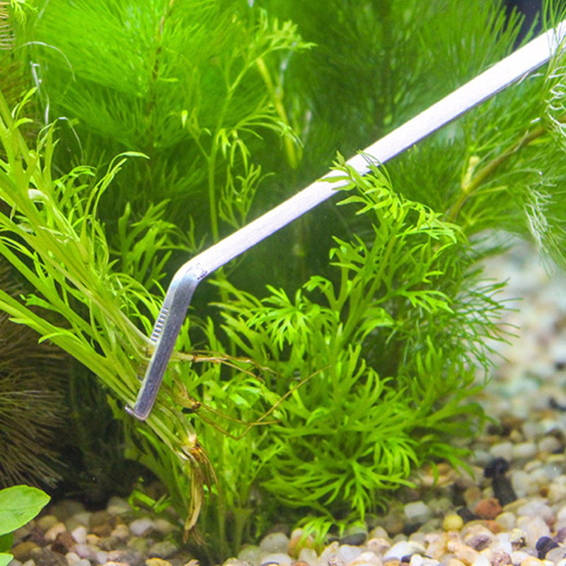 Профессиональный набор инструм – обзор и цена Aquarium Plants Live