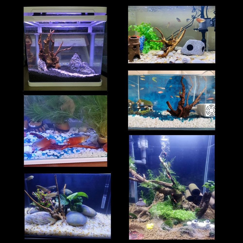 Декоративный пней для аквариум – обзор и цена Aquarium Driftwood