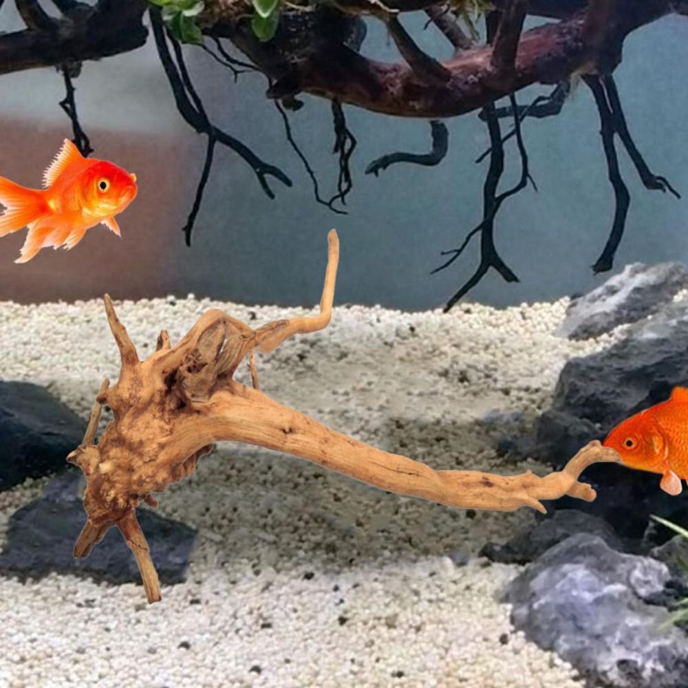 Декоративный пней для аквариум – обзор и цена Aquarium Driftwood