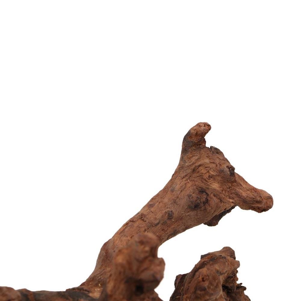 Креативные коряги из кораллово – обзор и цена Aquarium Driftwood