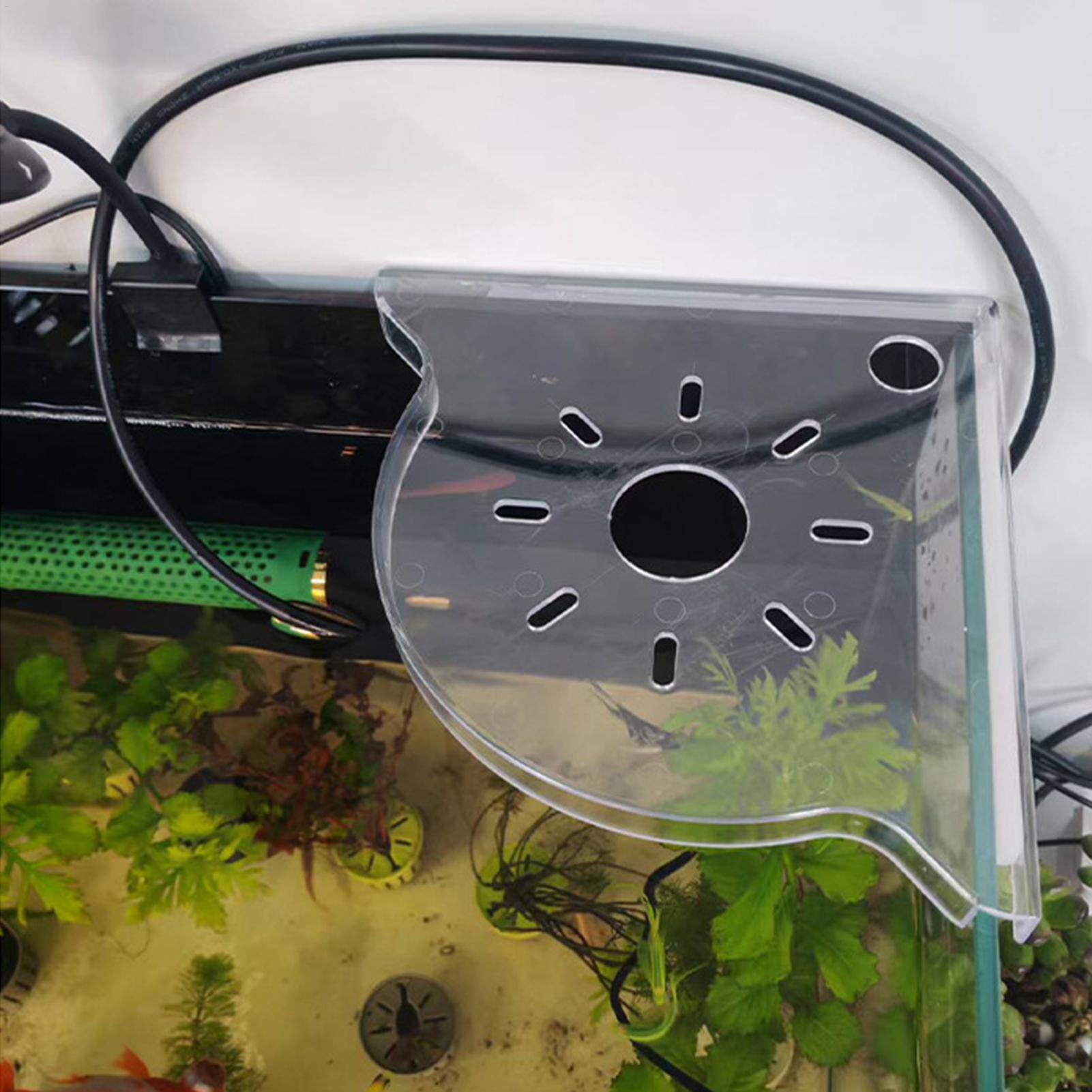 Треугольная угловая полка для  – обзор и цена Aquarium Plants Live