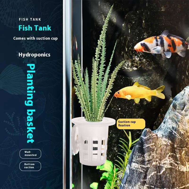 10/20/30 шт. пластиковых чашек – обзор и цена Aquarium Plants Live