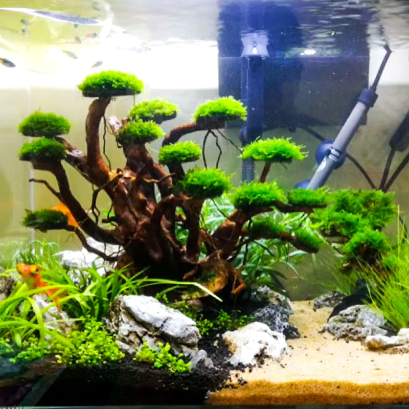 Декоративный элемент для аквар – обзор и цена Aquarium Driftwood
